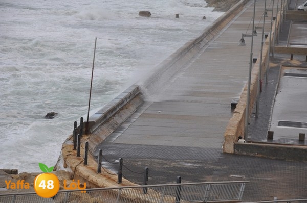 yaffa rain 1211 (11).JPG